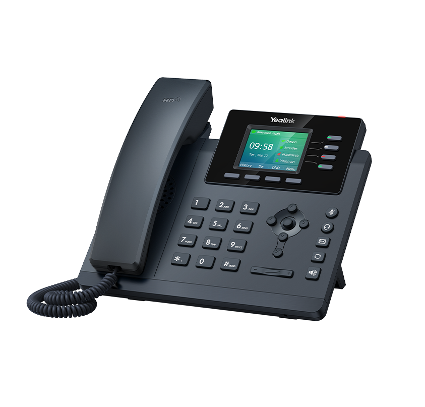 Standard IP Phone