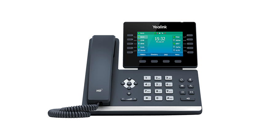 Professional IP Phone