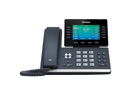 Professional IP Phone